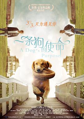 校园荣誉情侣